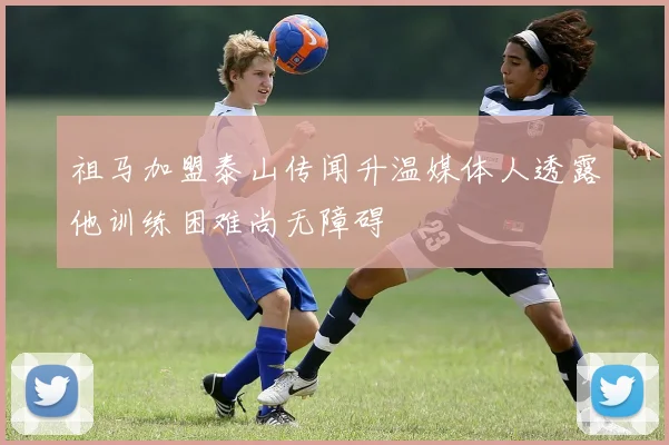 祖马加盟泰山传闻升温媒体人透露他训练困难尚无障碍