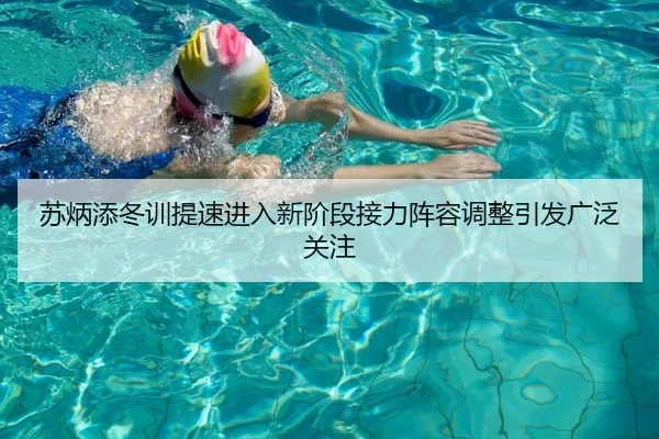 苏炳添冬训提速进入新阶段接力阵容调整引发广泛关注 | kaiyun